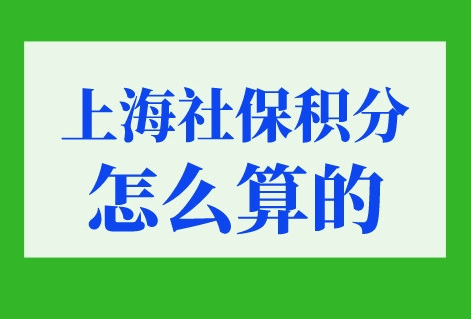 上海社保积分怎么算的