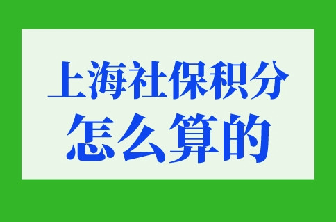 上海社保积分怎么算的