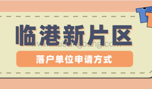 快速落户上海：临港新片区单位办理上海积分和落户攻略！